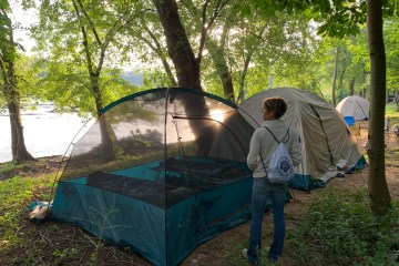 a tent in a forest